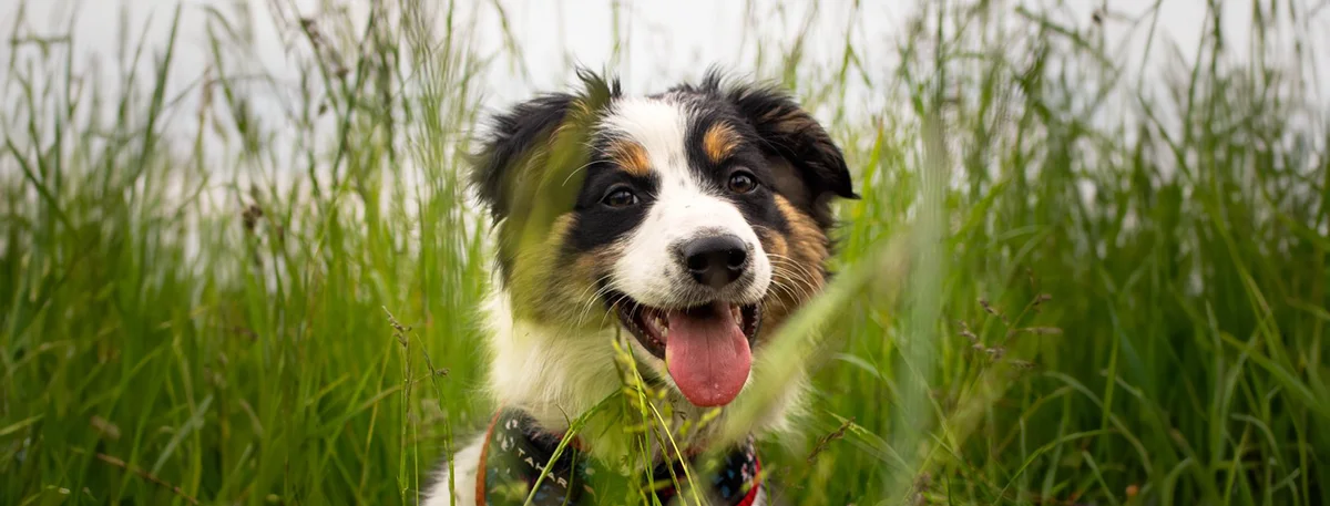 Пробачити… а що далі?