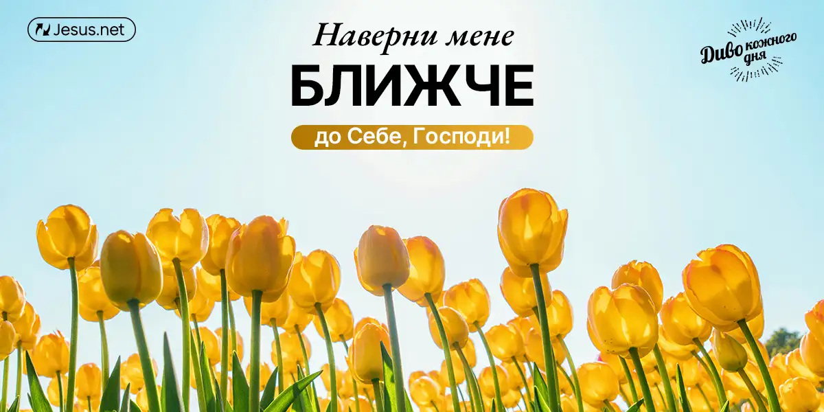 Ви сьогодні є людиною, що «вбога духом»?
