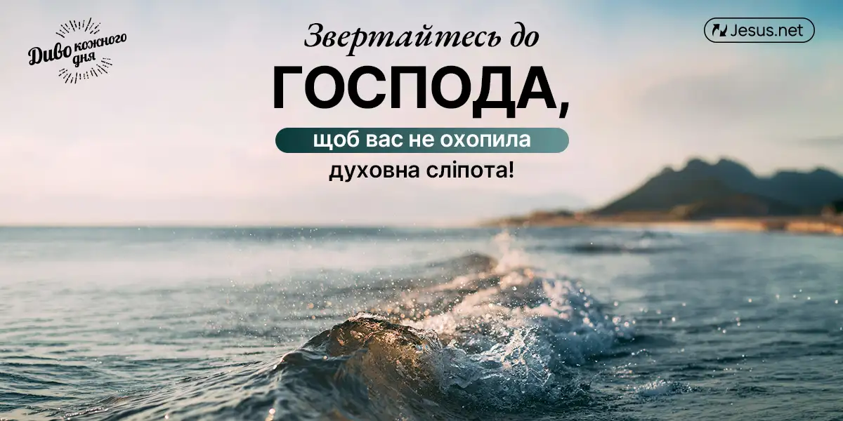 Чому Божа любов простяглася до «гілок дикої оливи»?