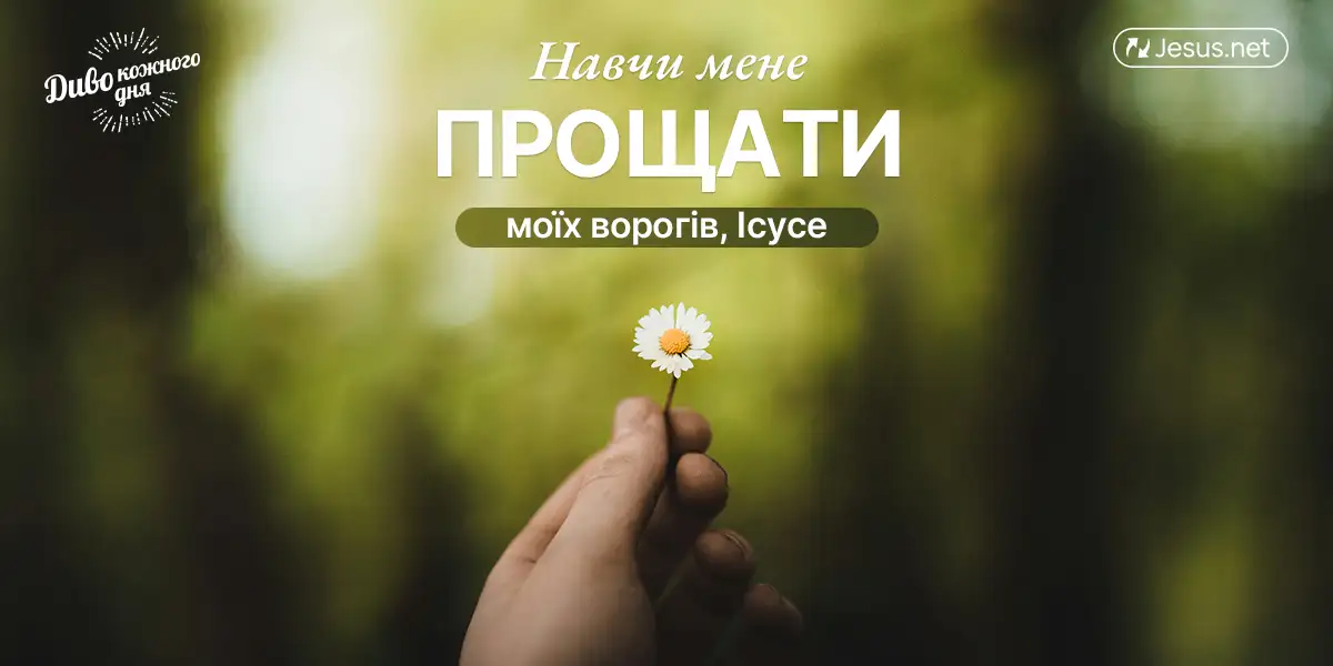 Як реагувати на несправедливість?