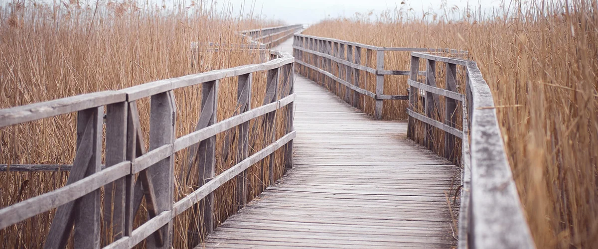 Про атеїзм, віру в Бога та кінець фільму