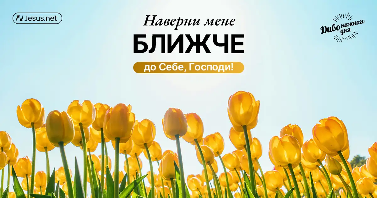 Ви сьогодні є людиною, що «вбога духом»?