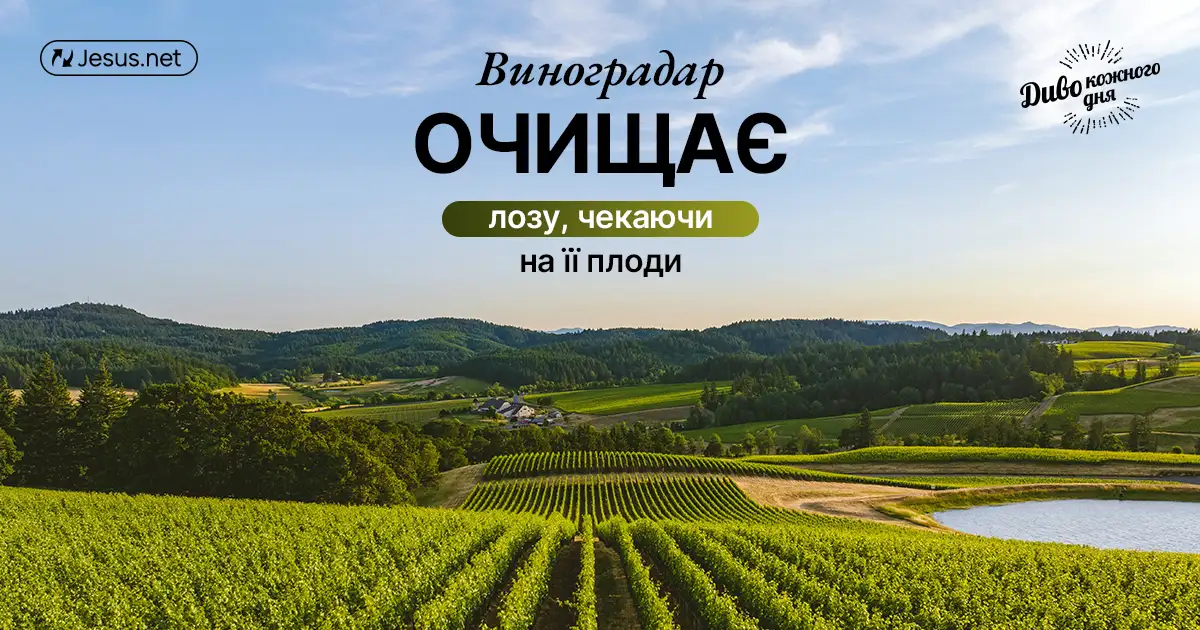 Він уже вас очистив, але продовжує очищати!