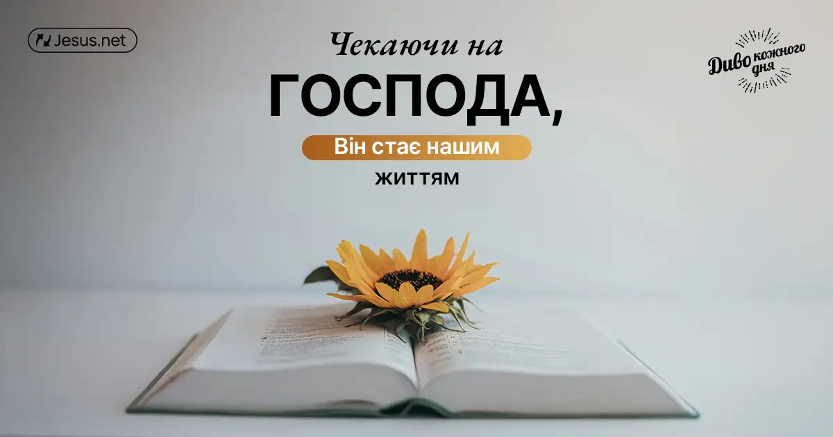 Милість Бога проявляється і у тому, чим ви володієте, і у тому, чого у вас немає