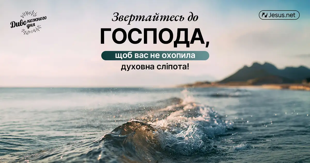 Чому Божа любов простяглася до «гілок дикої оливи»?