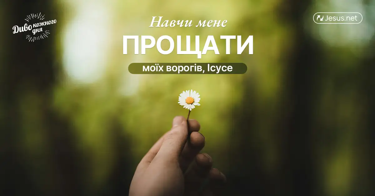 Як реагувати на несправедливість?